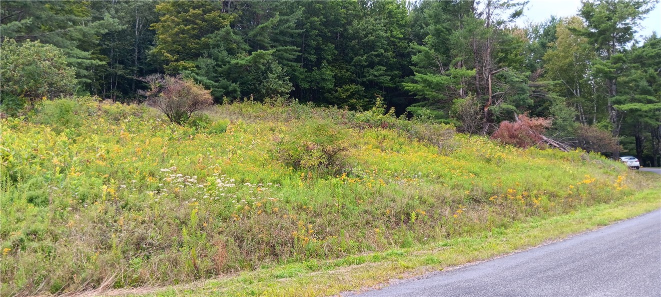 185 Eagle Mountain Road Summit, NY 12175 - Photo 14 of 15