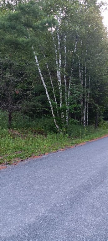 185 Eagle Mountain Road Summit, NY 12175 - Photo 3 of 15