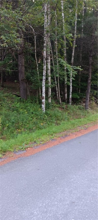 185 Eagle Mountain Road Summit, NY 12175 - Photo 4 of 15