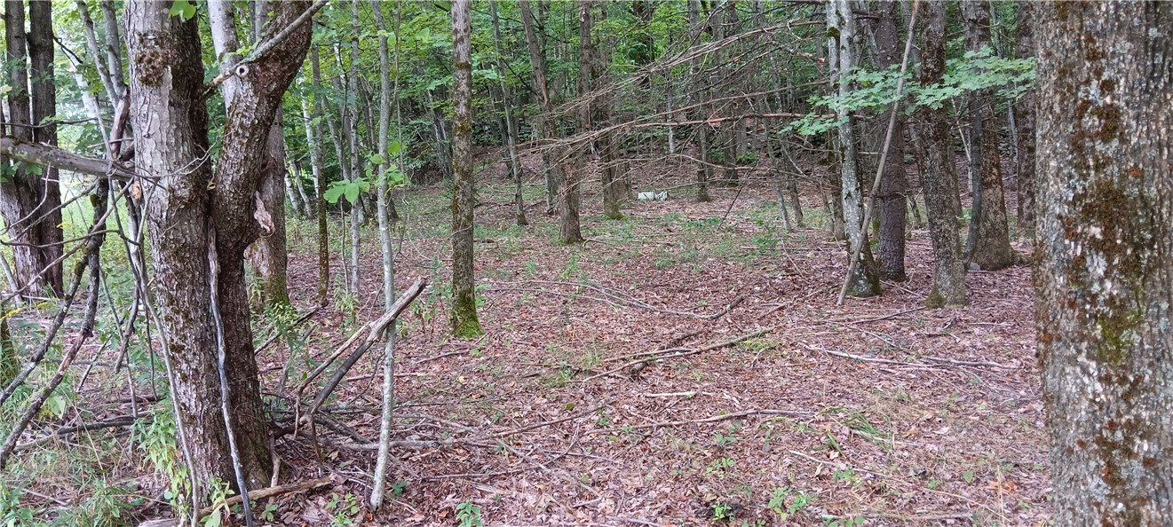 185 Eagle Mountain Road Summit, NY 12175 - Photo 5 of 15