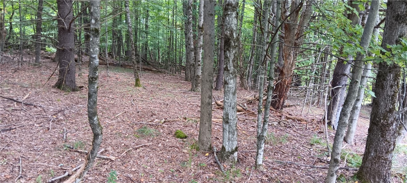 185 Eagle Mountain Road Summit, NY 12175 - Photo 6 of 15