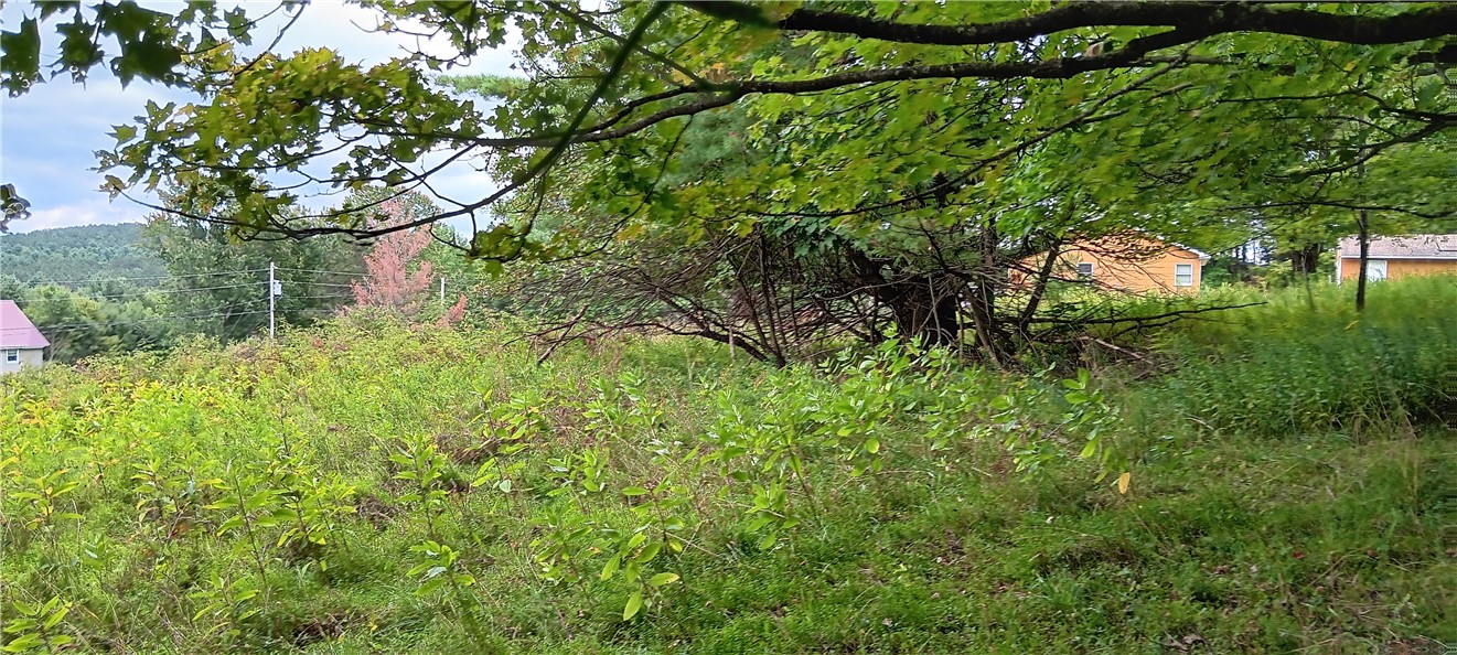 185 Eagle Mountain Road Summit, NY 12175 - Photo 7 of 15