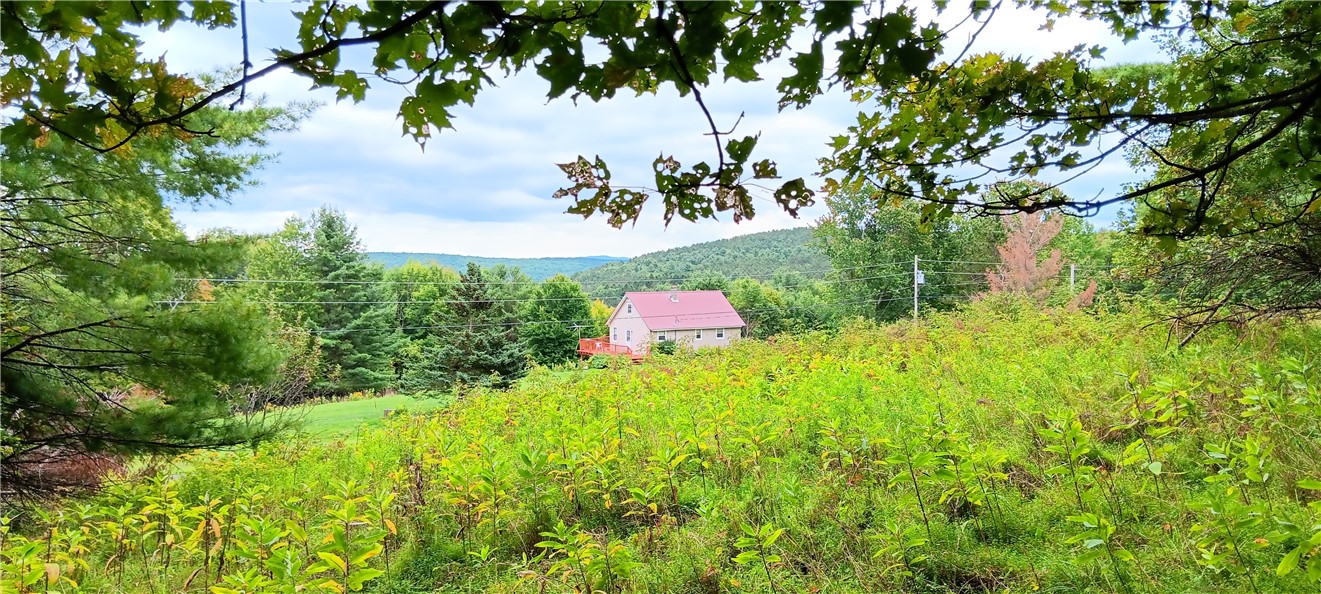 185 Eagle Mountain Road Summit, NY 12175 - Photo 8 of 15