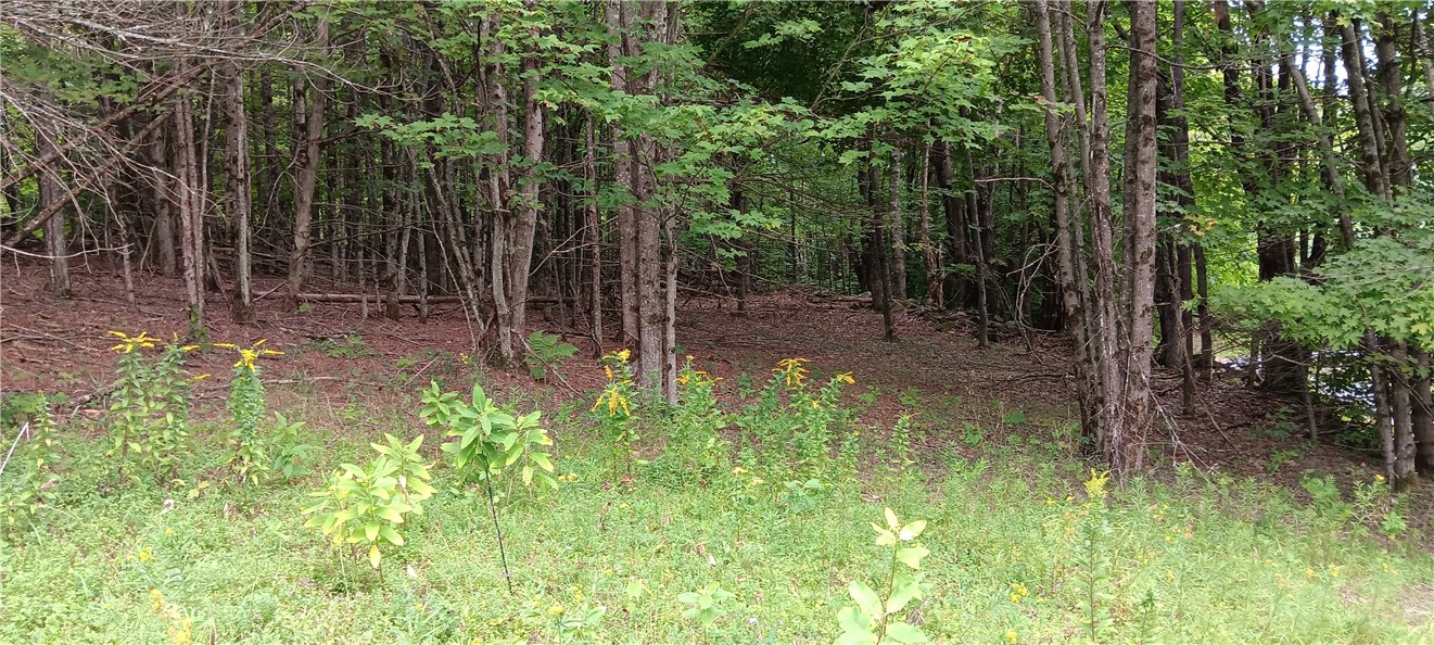 185 Eagle Mountain Road Summit, NY 12175 - Photo 9 of 15