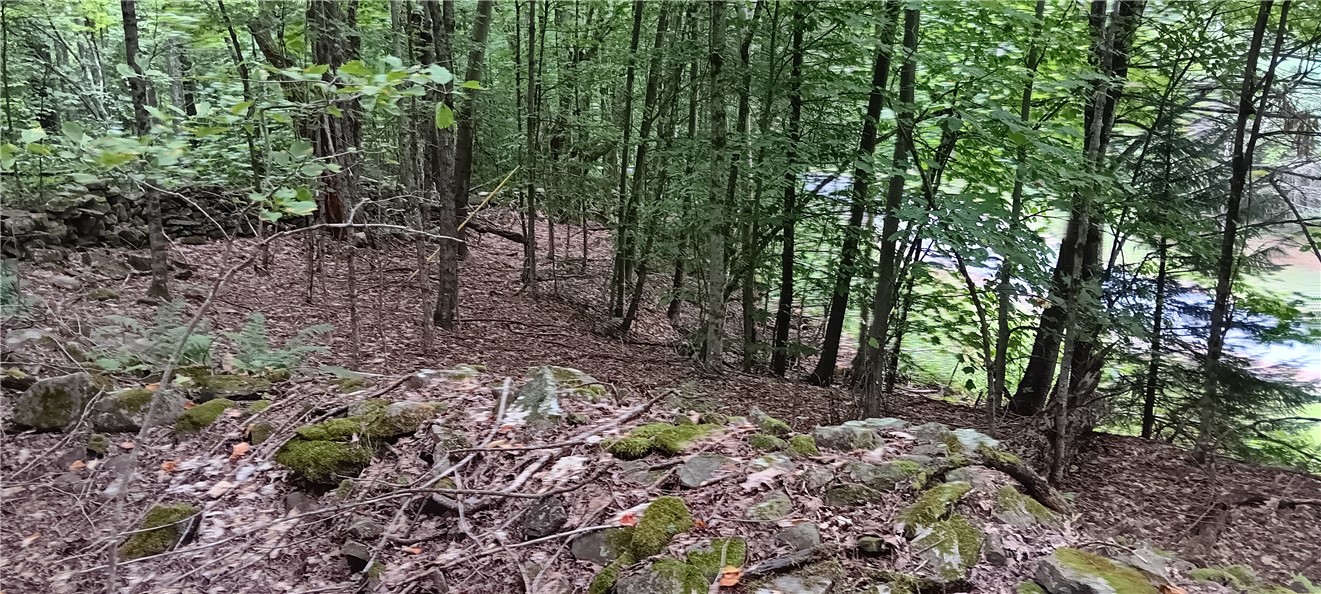 185 Eagle Mountain Road Summit, NY 12175 - Photo 10 of 15