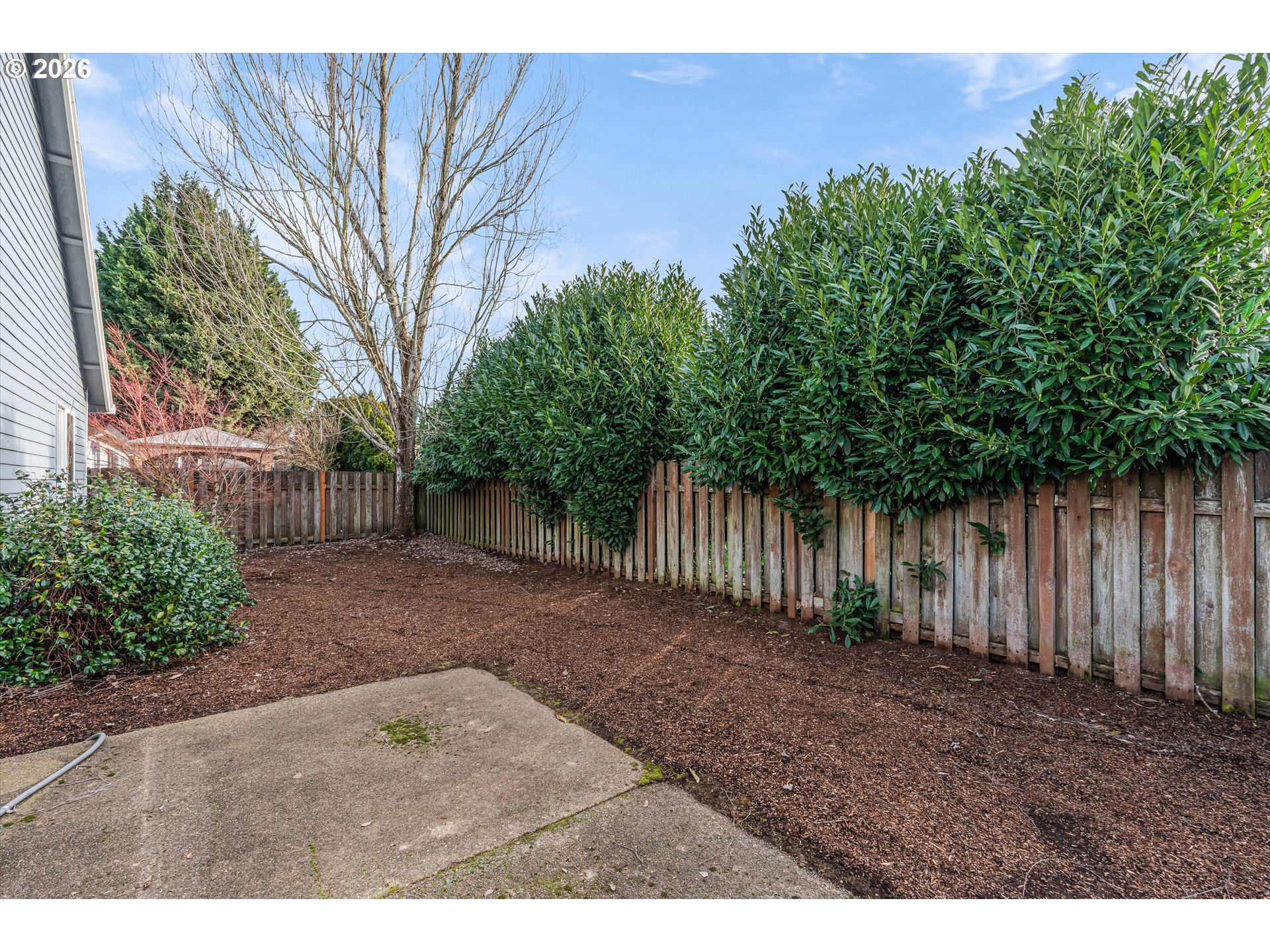 1407 Southeast 7th Avenue Canby, OR 97013 - Photo 31 of 31 a view of backyard with green space