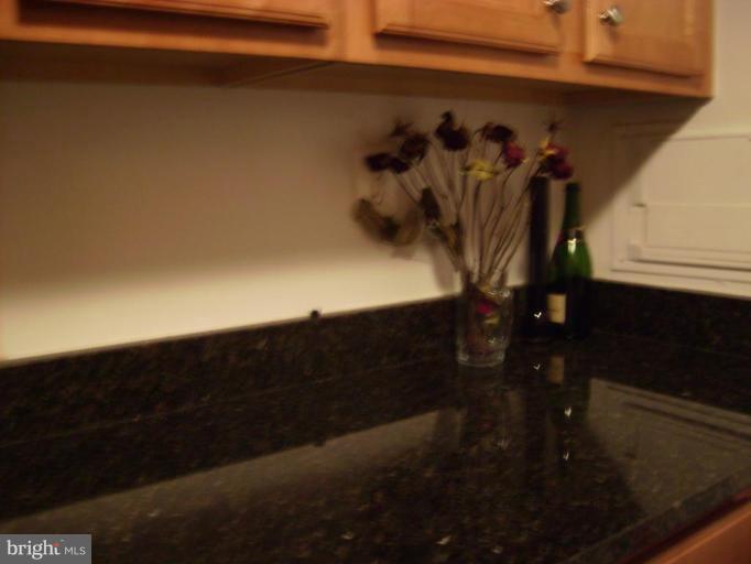 1220 Blair Mill Road, Unit 108 Silver Spring, MD 20910 - Photo 3 of 10 Kitchen