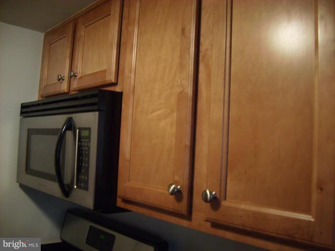 1220 Blair Mill Road, Unit 108 Silver Spring, MD 20910 - Photo 4 of 10 Kitchen #2