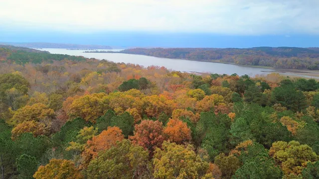 an aerial view of mountain with trees in the back
