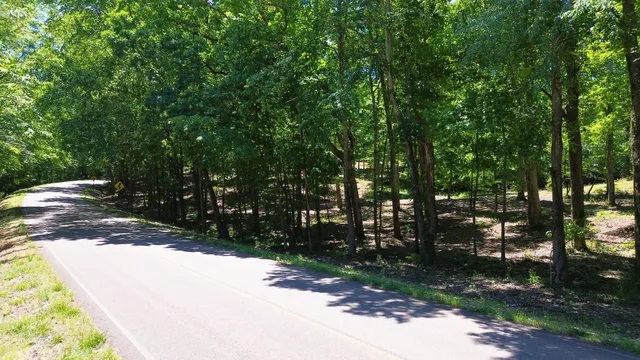 a view of backyard with green space