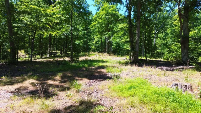a view of a yard with trees