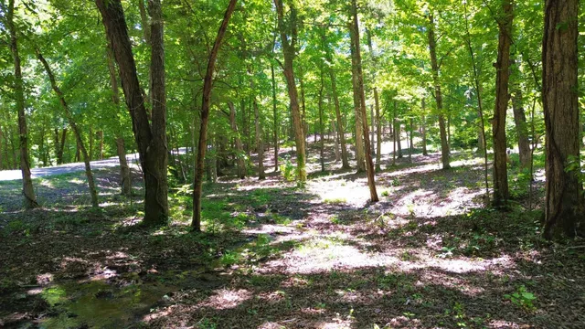 an aerial view of residential house with outdoor space and trees all around