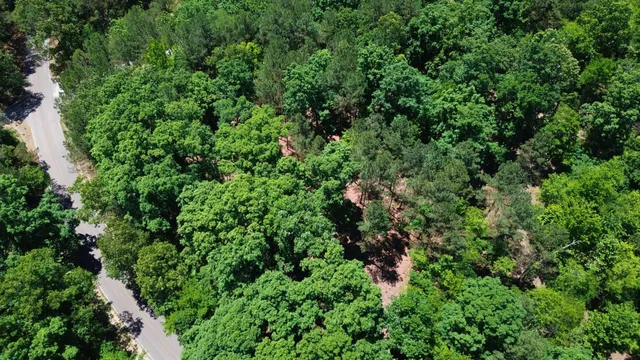 a view of a big yard