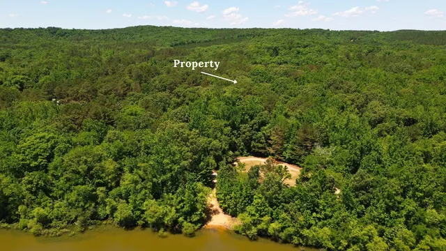 a view of a yard with plants and trees