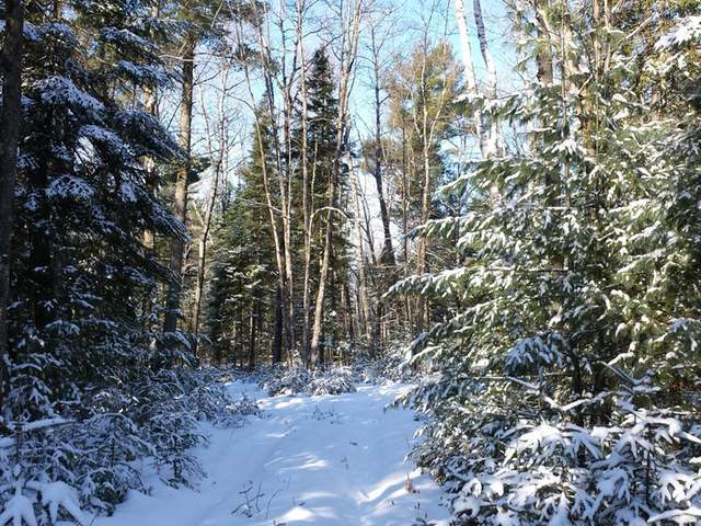 Lot 2 Poplar Road Rhinelander, WI 54501 - Photo 7 of 10 Gallery Image 7
