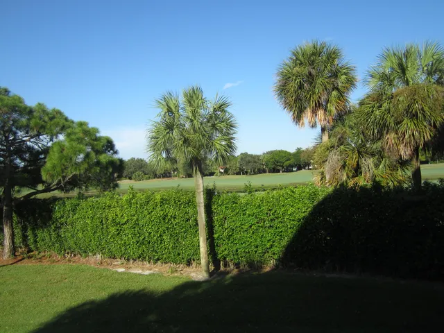 a view of a garden from a lake