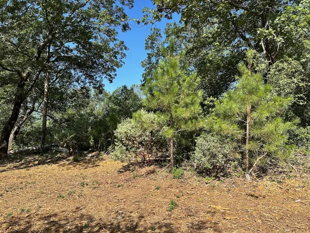 $550,000 | 387 East Summit View Dr Meadow Vista, Meadow Vista, CA 95722