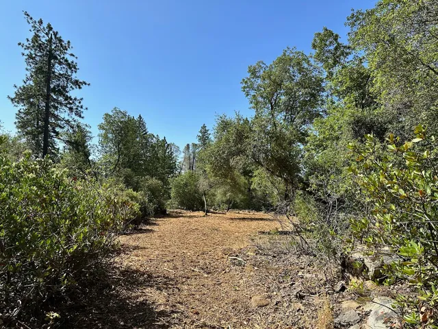 $550,000 | 387 East Summit View Dr Meadow Vista, Meadow Vista, CA 95722