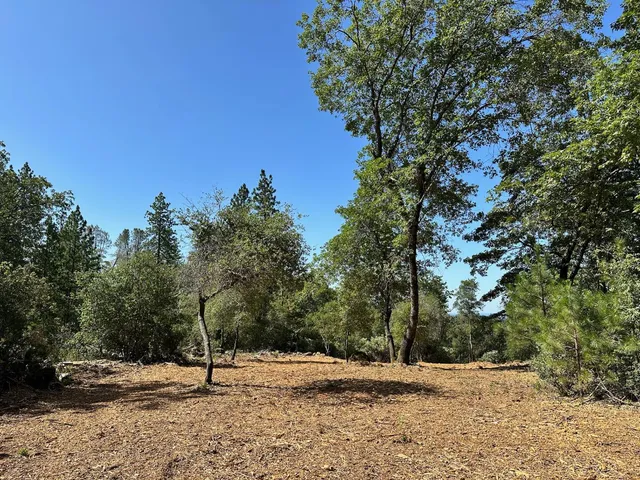 $550,000 | 387 East Summit View Dr Meadow Vista, Meadow Vista, CA 95722
