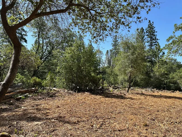 $550,000 | 387 East Summit View Dr Meadow Vista, Meadow Vista, CA 95722