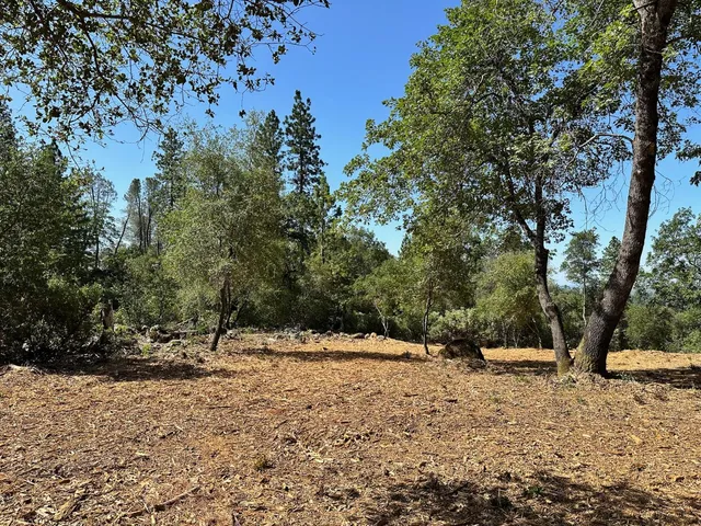 $550,000 | 387 East Summit View Dr Meadow Vista, Meadow Vista, CA 95722