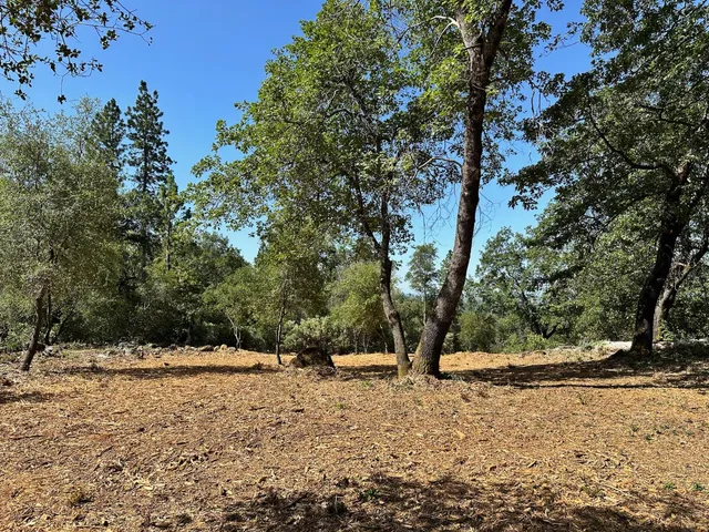 $550,000 | 387 East Summit View Dr Meadow Vista, Meadow Vista, CA 95722