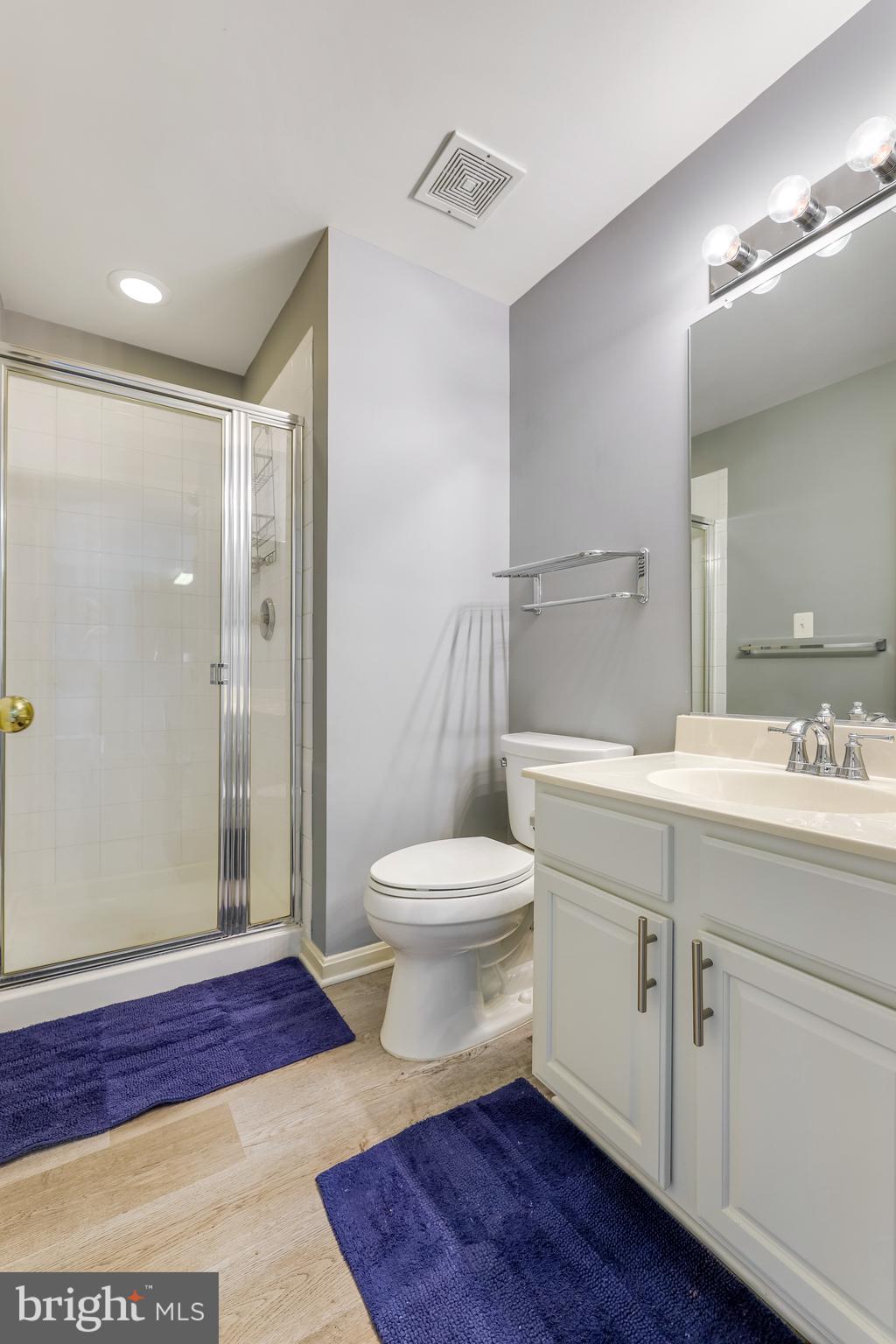 521 Constellation Square Southeast, Unit J Leesburg, VA 20175 - Photo 30 of 37 a bathroom with a toilet a sink a mirror and shower