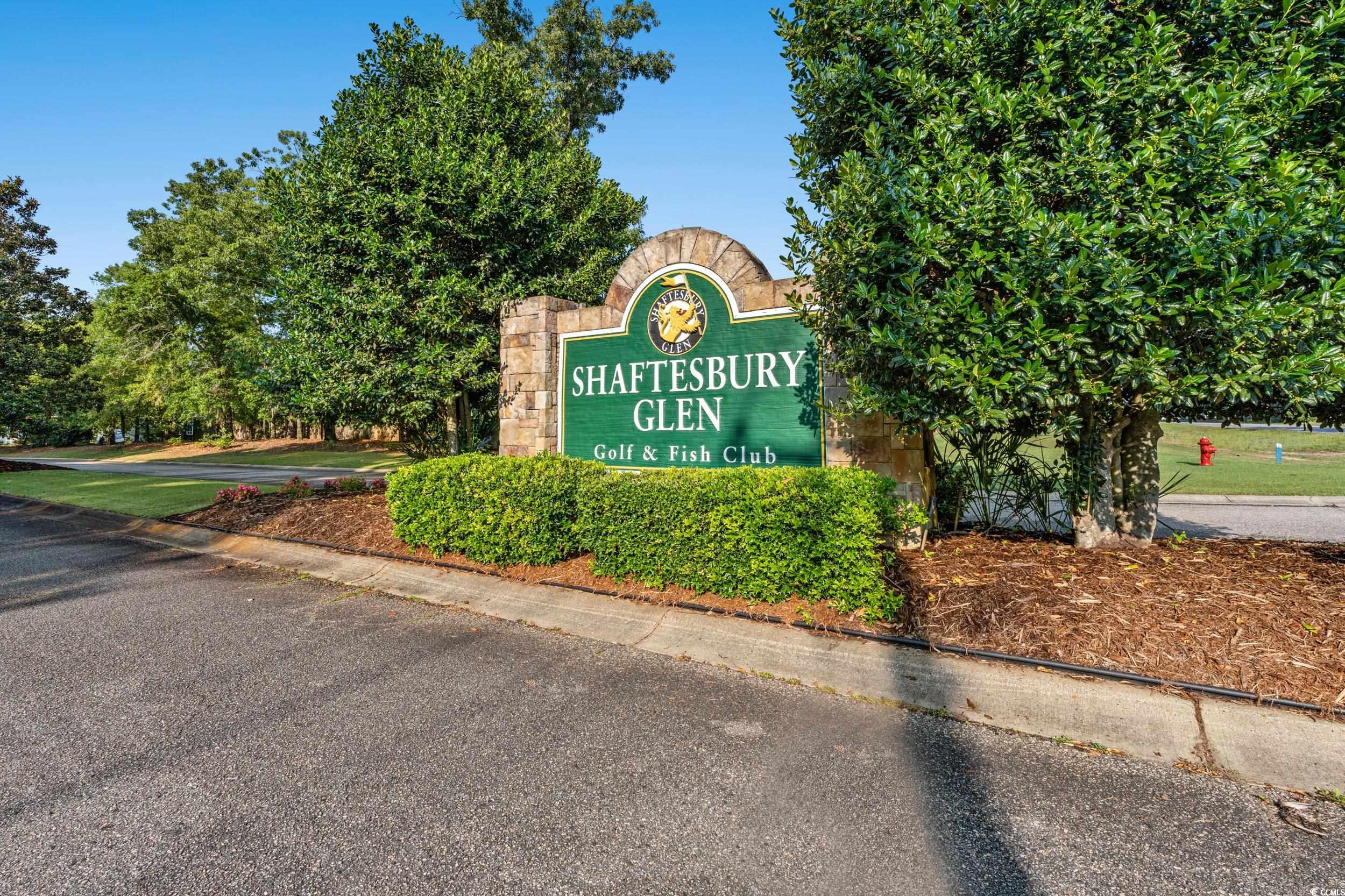 207 Putney Court Conway, SC 29526 - Photo 35 of 38