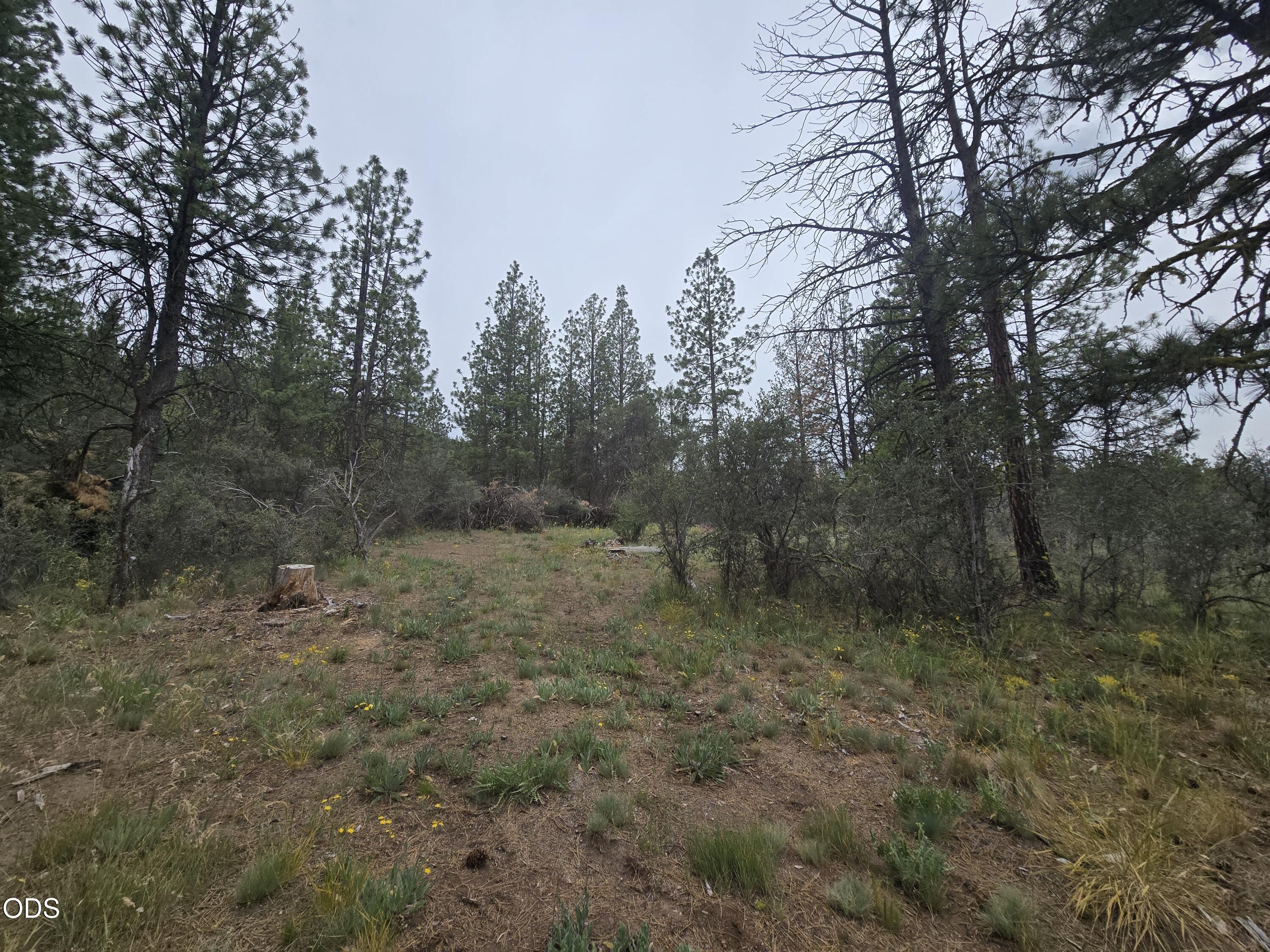 0 Partin Drive, Unit 5 Beatty, OR 97621 - Photo 4 of 15