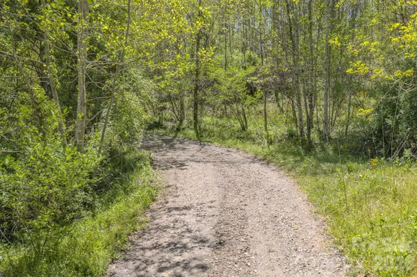a view of a pathway both side of yard