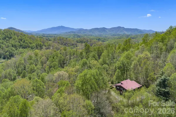 a view of a lush green forest with trees and some houses