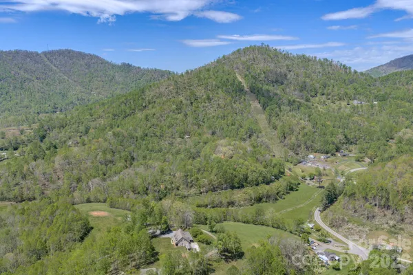 a view of a forest with mountains in the background
