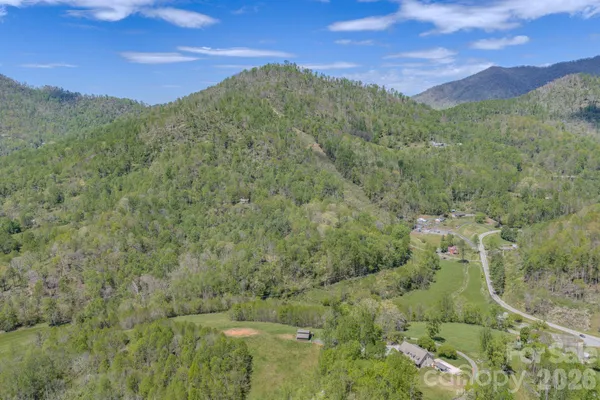 a view of a lush green hillside and a mountain