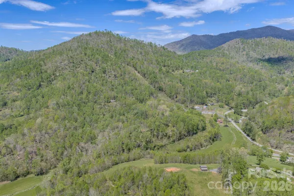 a view of a lush green forest with a mountain