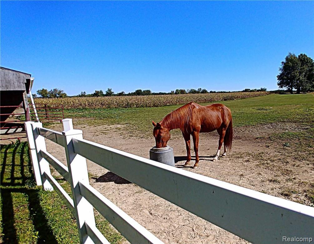16075 Arnold Road Gregory, MI 48137 - Photo 30 of 54 Automatic Waterer located in each paddock.jpg