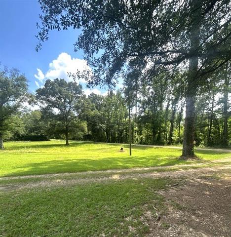 519 Fred Scott Pollock, LA 71467 - Photo 5 of 6