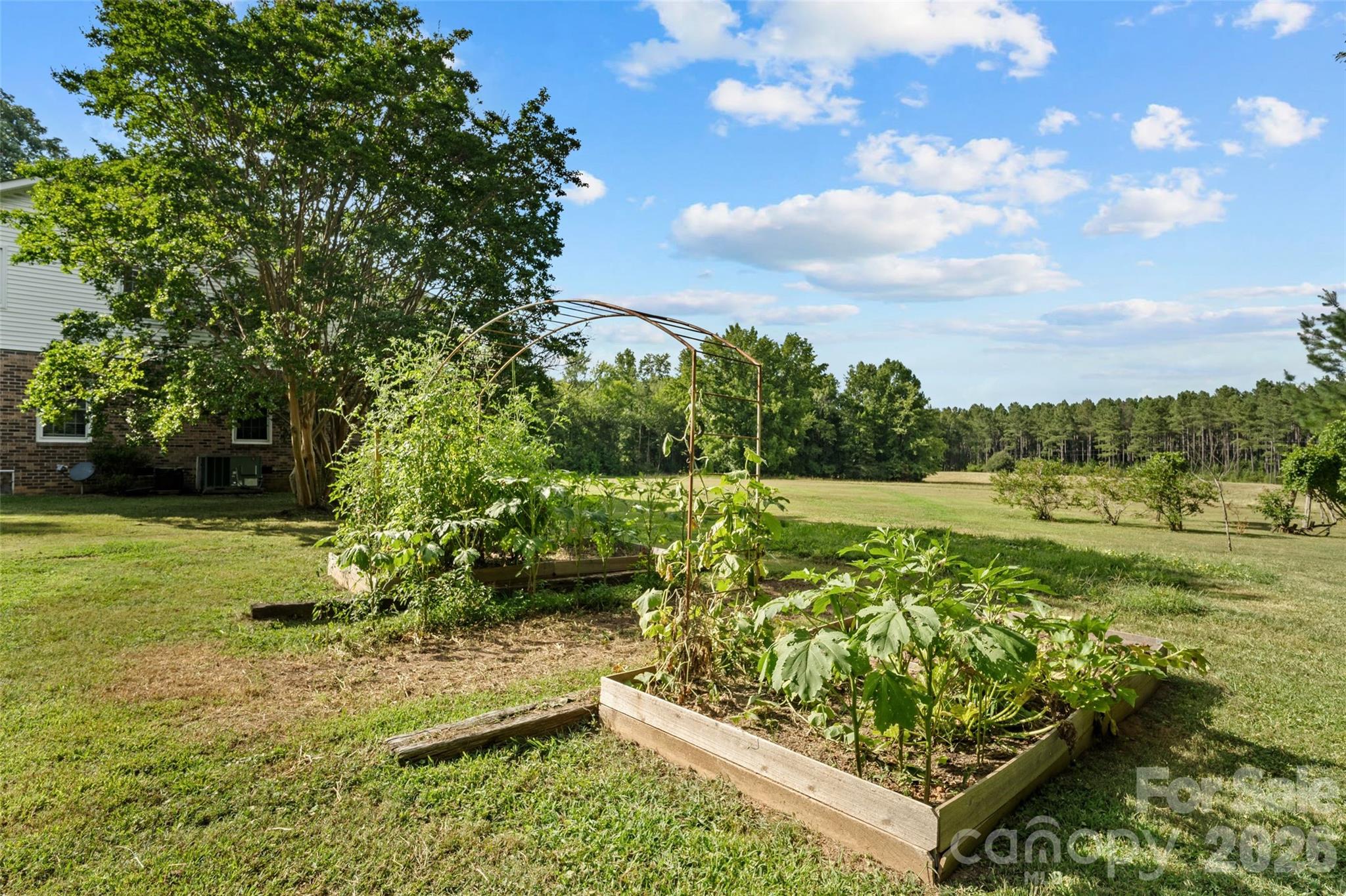 2520 Wooten Road Chester, SC 29706 - Photo 34 of 48 a view of a garden with an outdoor seating