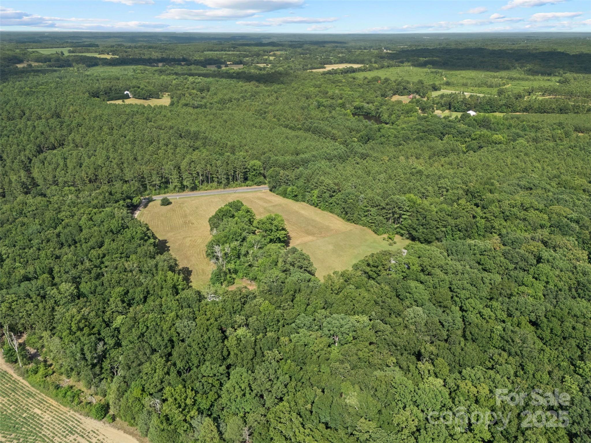 2520 Wooten Road Chester, SC 29706 - Photo 42 of 48 a view of a lush green forest with a lake and trees