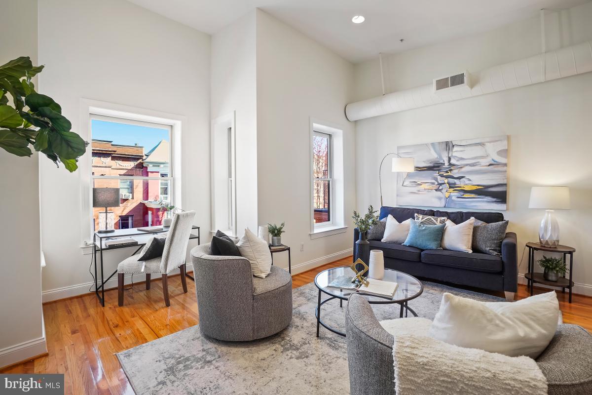 1832 Swann Street Northwest, Unit D Washington, DC 20009 - Photo 6 of 29 a living room with furniture and a potted plant