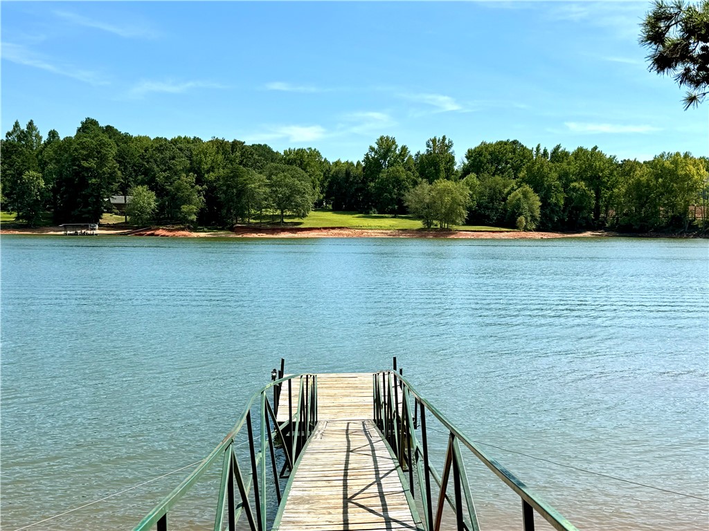 335 Lookover Drive Anderson, SC 29621 - Photo 25 of 33 Community dock