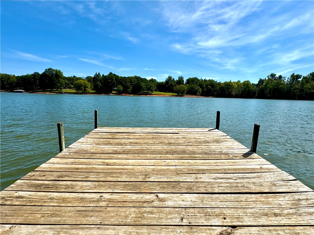 335 Lookover Drive Anderson, SC 29621 - Photo 26 of 33 Community dock