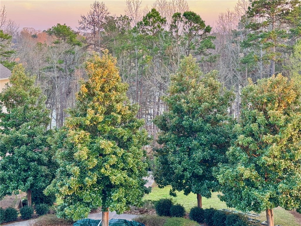 335 Lookover Drive Anderson, SC 29621 - Photo 32 of 33 Seasonal lake view from the primary bedroom.