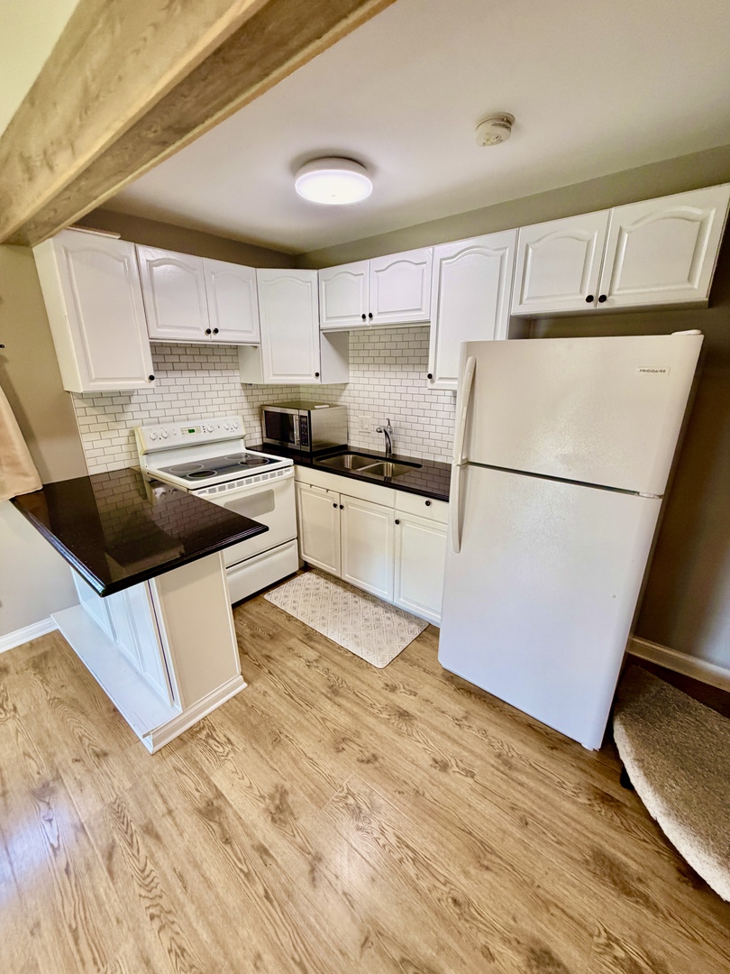 40 Bermuda Colony, Unit 3 Fox Lake, IL 60020 - Photo 5 of 19
