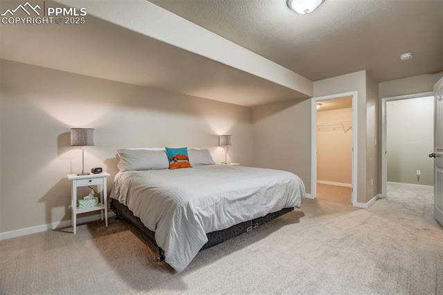 12442 Carmel Ridge Road Colorado Springs, CO 80921 - Photo 38 of 50 Bedroom with light carpet and a spacious closet