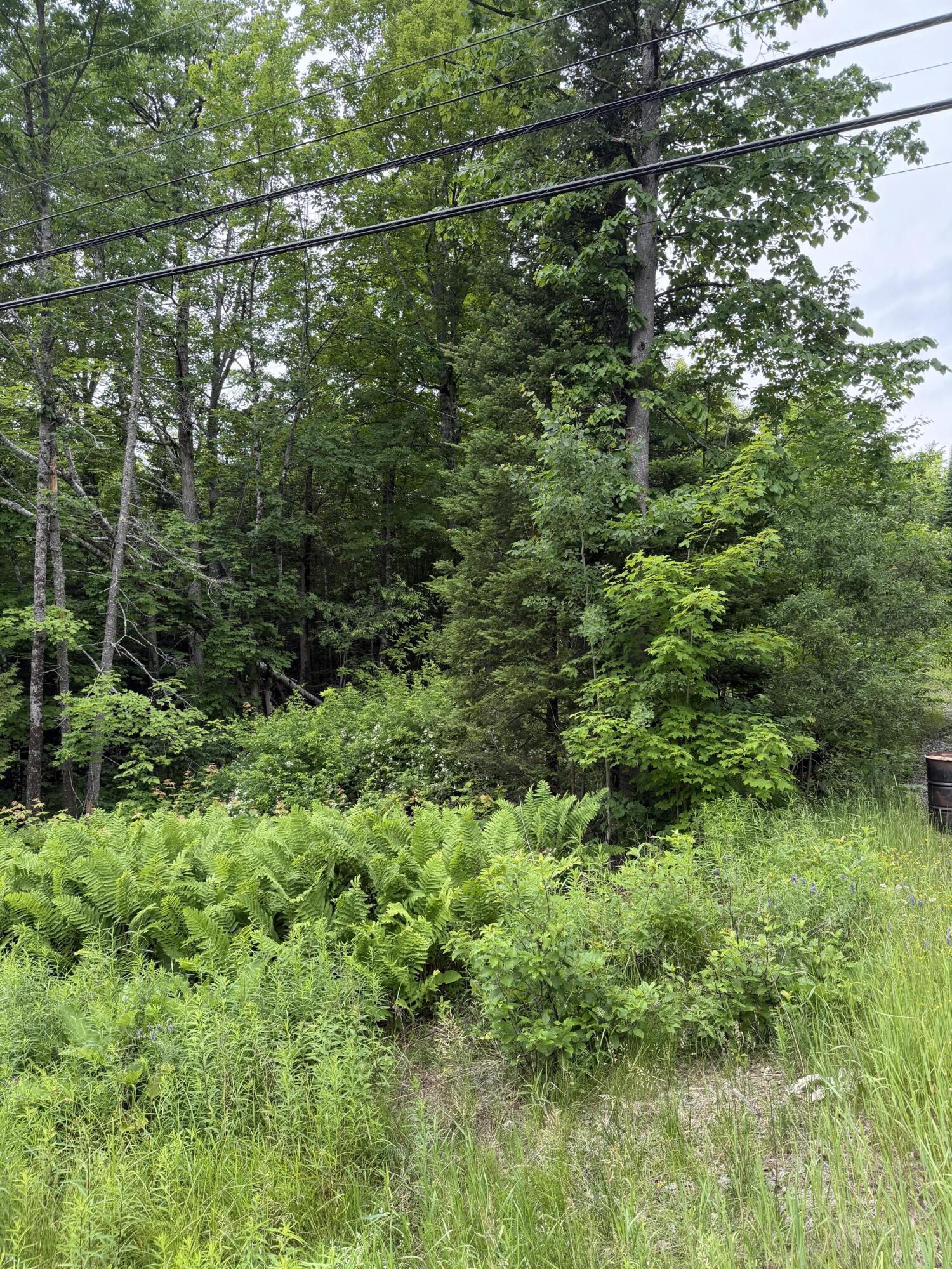 967 Milo Road Sebec, ME 04481 - Photo 3 of 5 IMG_3962