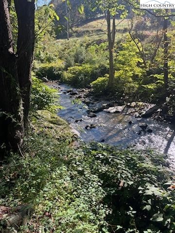 392 Old Danner Road Vilas, NC 28692 - Photo 28 of 34 a view of a yard with plants and large trees