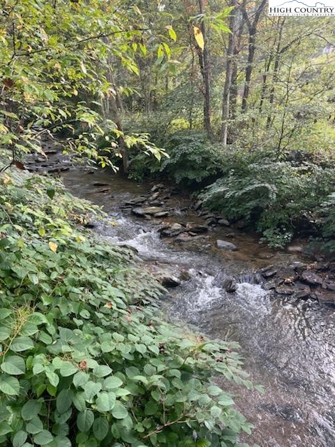 392 Old Danner Road Vilas, NC 28692 - Photo 29 of 34 a view of a forest with lots of trees