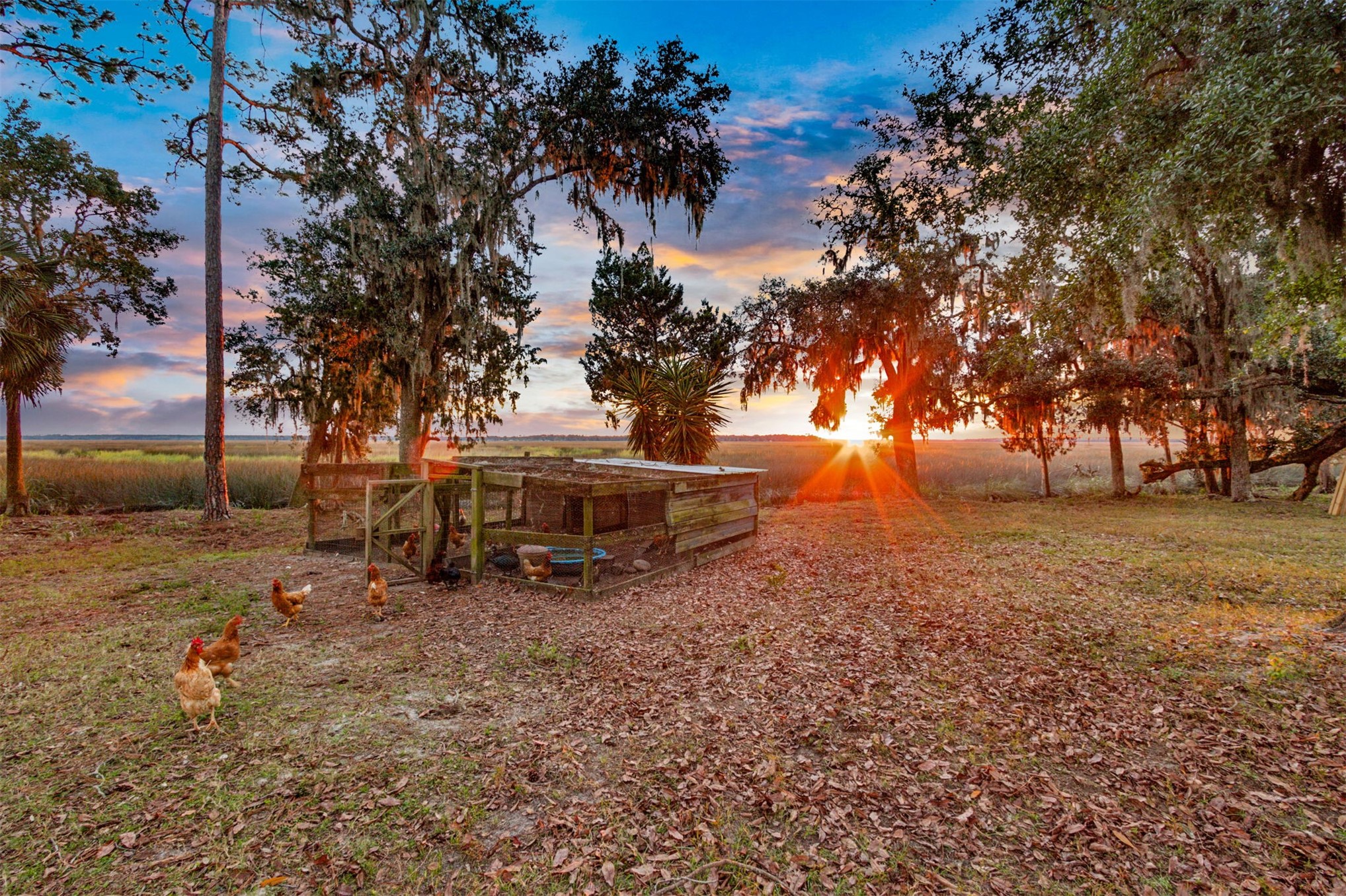 85013 Avant Road Yulee, FL 32097 - Photo 27 of 46 a view of a house with a yard