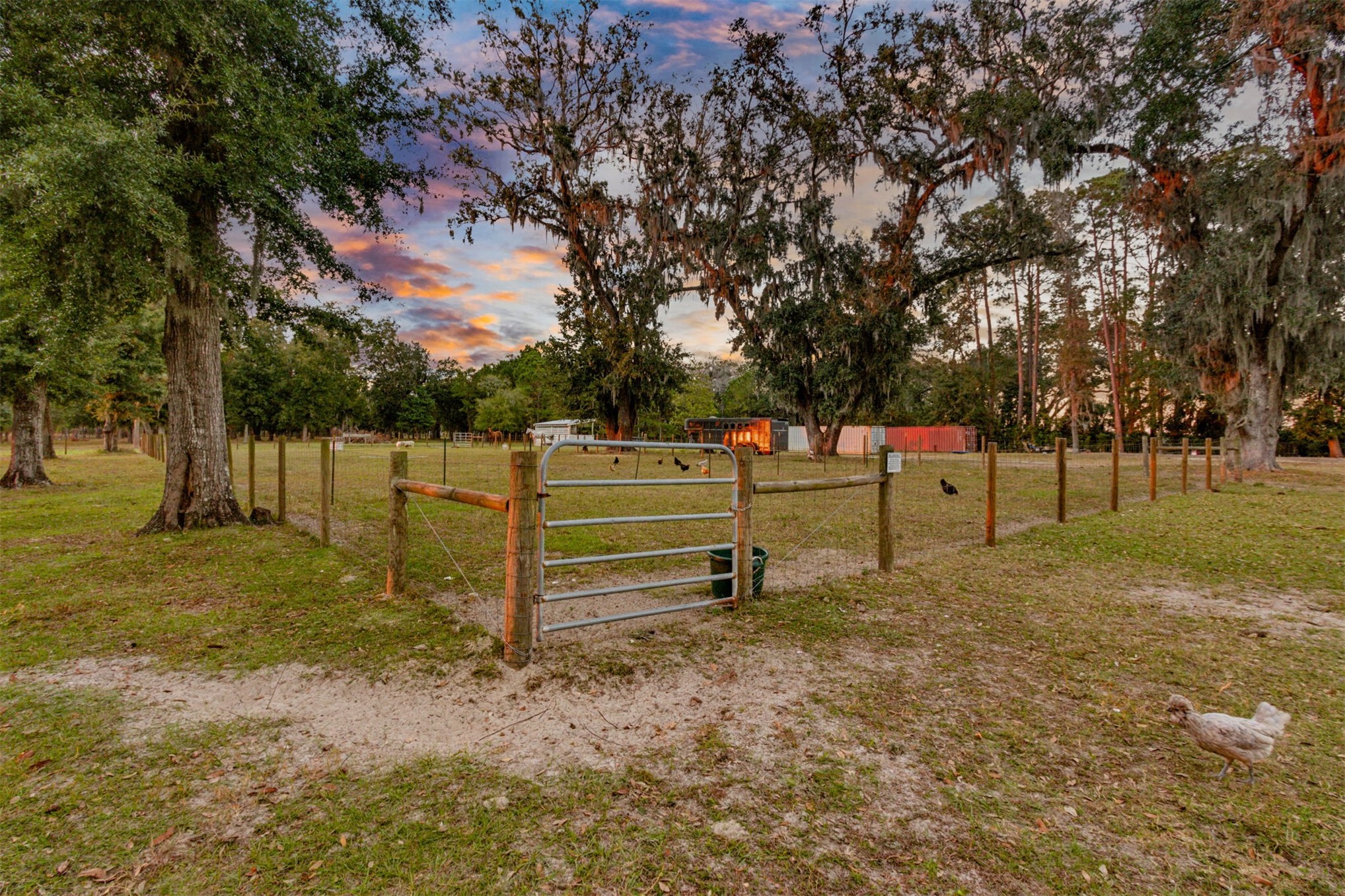 85013 Avant Road Yulee, FL 32097 - Photo 29 of 46 a view of a park
