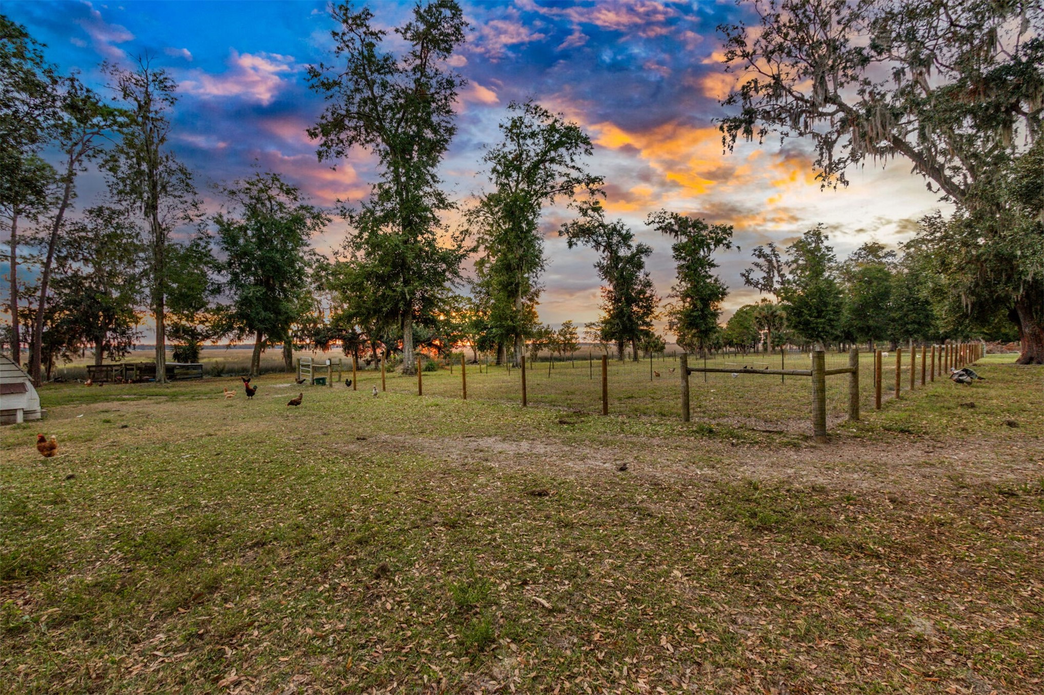 85013 Avant Road Yulee, FL 32097 - Photo 30 of 46 a view of a park